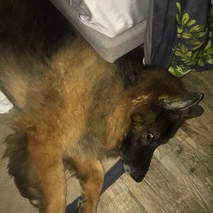 Meet your Posher, Linda